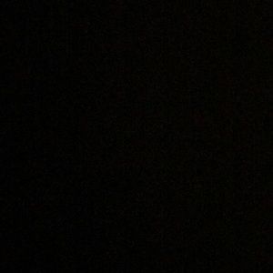 Meet your Posher, Kyleigh